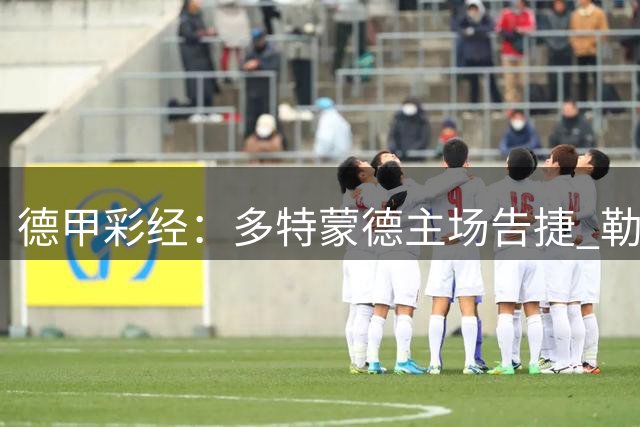 德甲彩经：多特蒙德主场告捷 勒沃库森客场失分